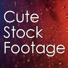 أفضل مواقع فيديوهات بدون حقوق ملكية موقع cute stock footage