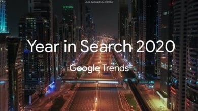 year in search google