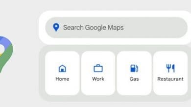 Google Maps search widget