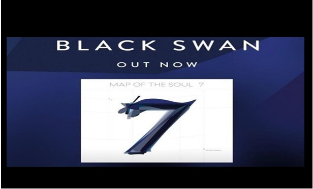 BlackSwan jpg
