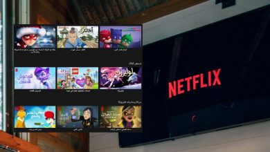 best netflix animations series