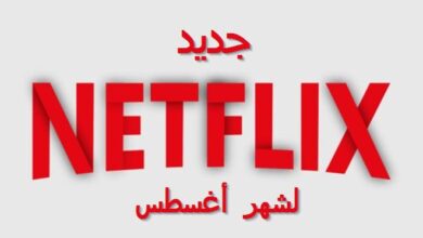 aout 2020 Netflix Logo