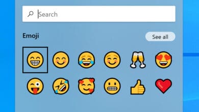 selectionneur demojis windows