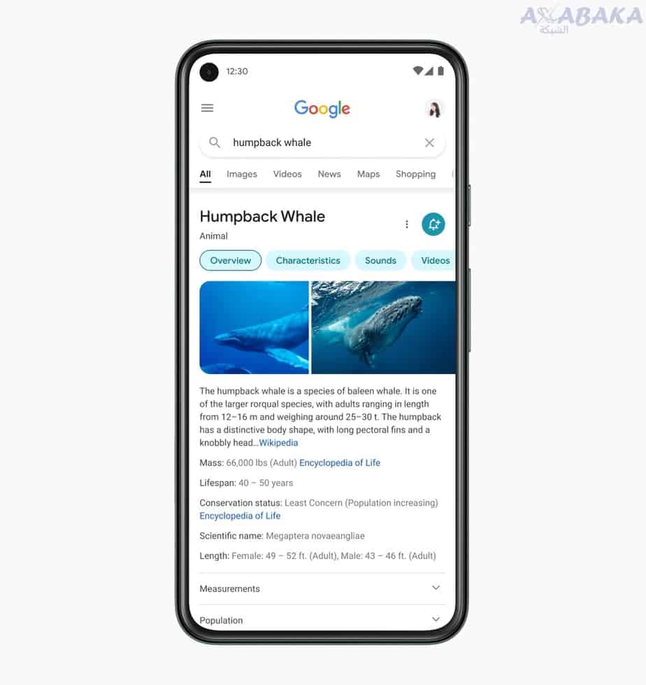 Search’s mobile google redesign