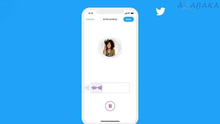 twitter voice DMs in India