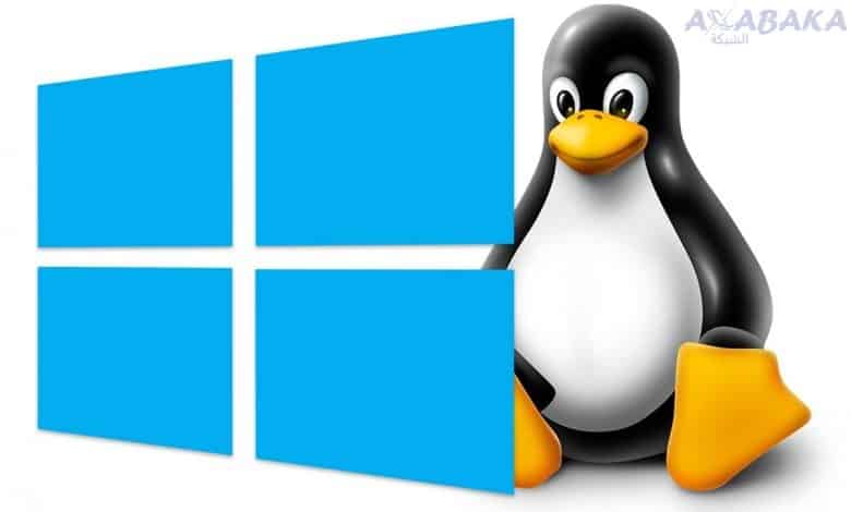 Windows Linux