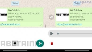 review Voice Message whatsapp
