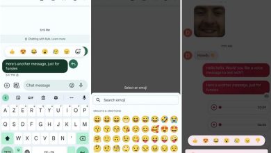 Screenshot at Google Messages tests letting you react with any emoji