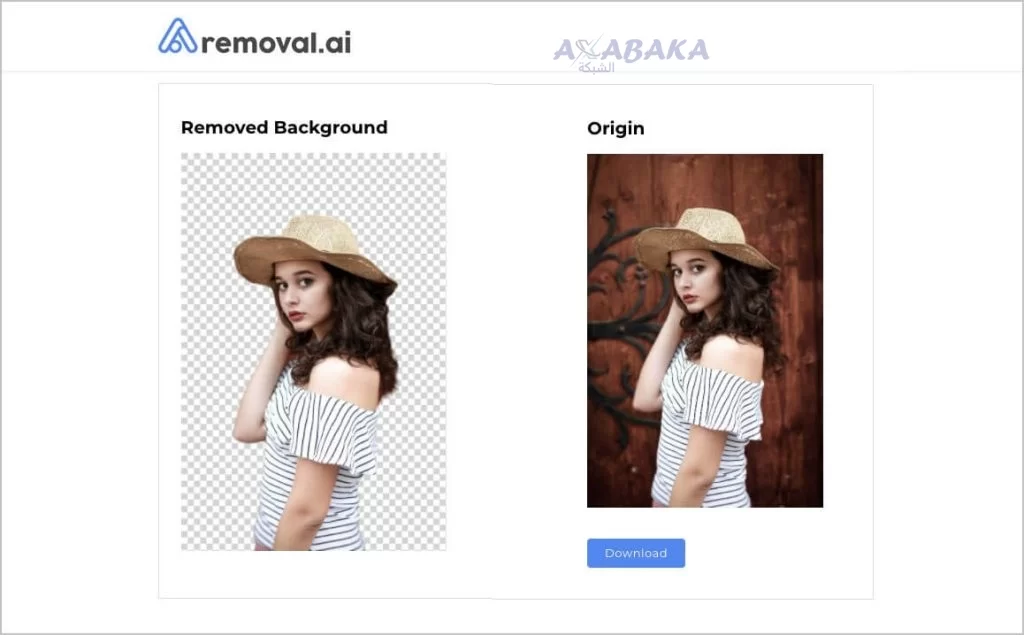 Removal AI