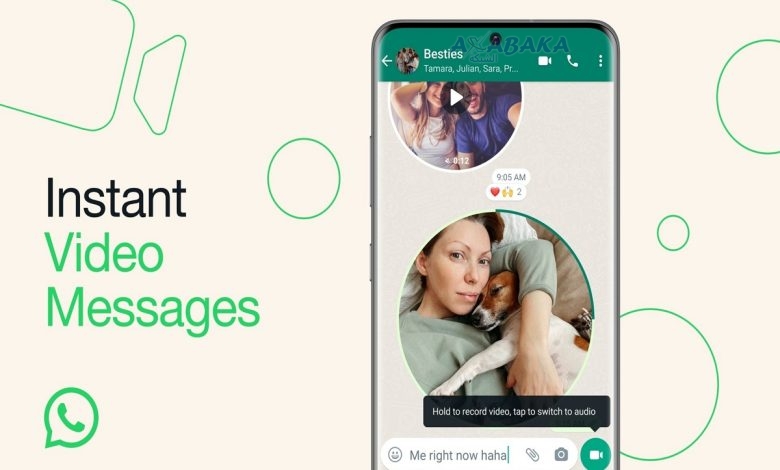 WhatsApp message video