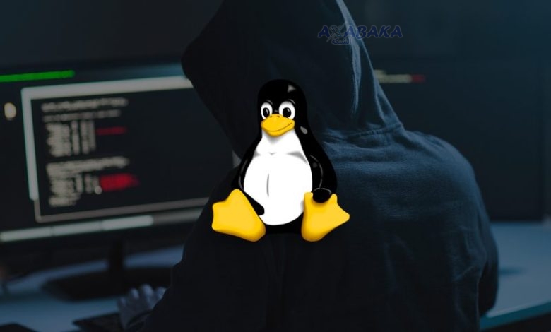 LINUX Looney Tunables