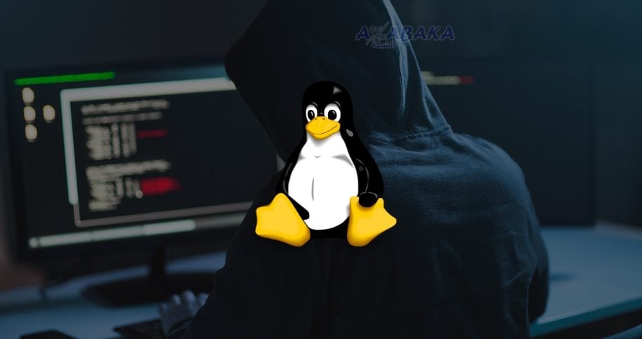 LINUX Looney Tunables