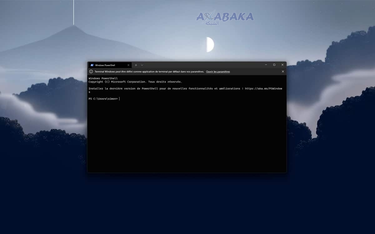 windows terminal